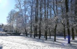 winter in frohnau 20101217 1371233254