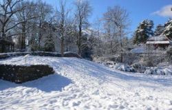 winter in frohnau 20101217 2079166270